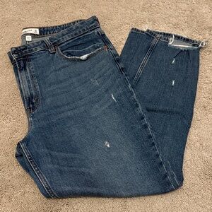 Abercrombie & Fitch Curve Love Skinny Jean